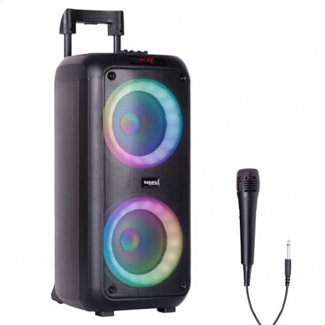 Ibiza - VENUS600 - Enceinte portable sur batterie de 2x8”/20 cm et 600W avec effet lumineux sur la façade avant et micro fila